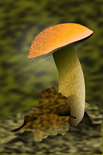 Mushroom Alexander Grigoriev