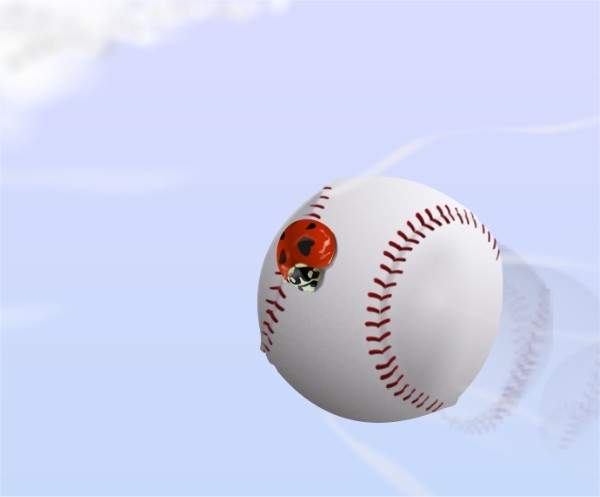 Baseball Ladybug Rain Moseley