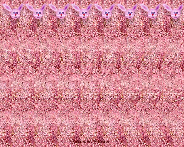 Funny Bunny - Hidden and Floating Image Stereogram Gary W. Priester