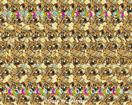 Infinity  - Hidden and Floating Image Stereogram Gary W. Priester