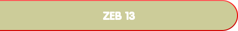 ZEB 13