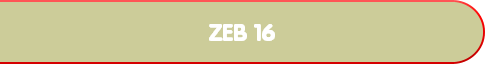 ZEB 16