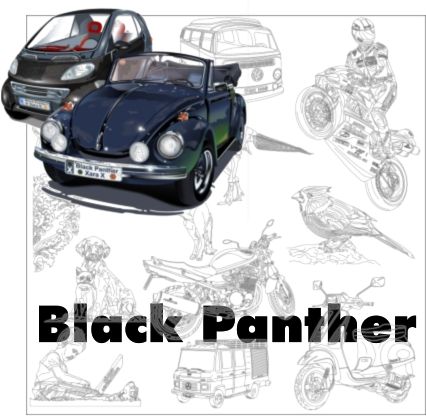 Xara Xone Featured Artist - November 2009 - Black Panther