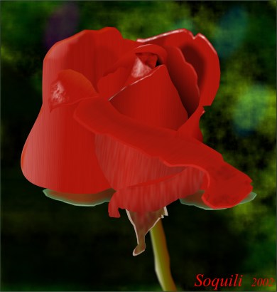 Red Rose Bill Taylor