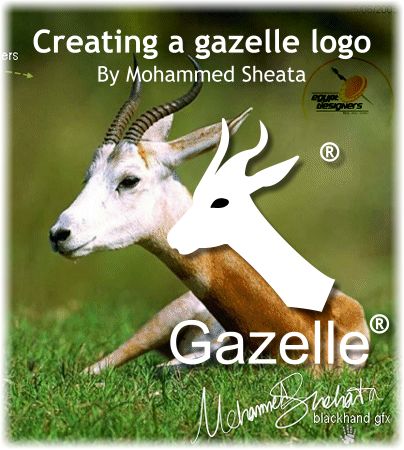 Creating a Gazelle Logo from a Photograph - 2005 Mohammed Sheata