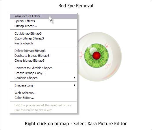 Xara Xone Workbook - Red Eye Removal