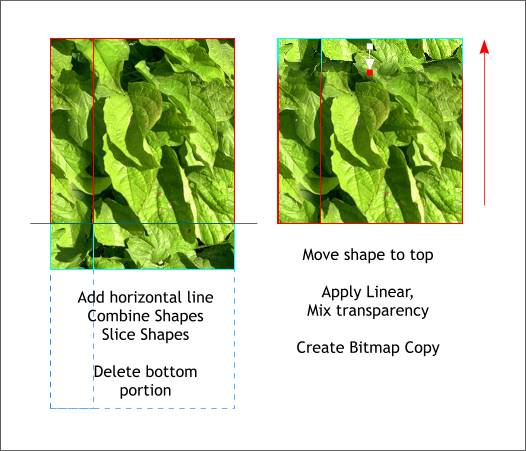 Creating a Seamless Tiling Image - Xara Xone Workbook