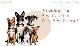 Vet Website